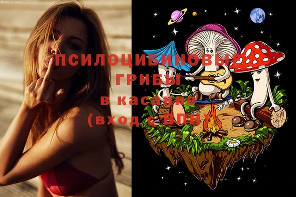 каннабис Алексеевка