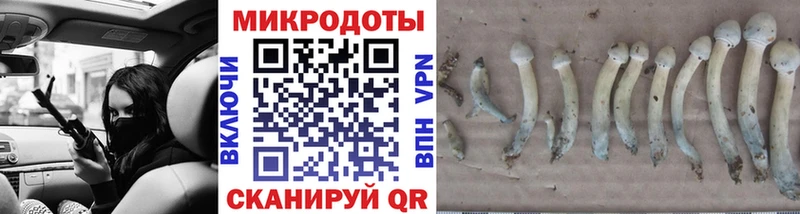 ссылка на мегу вход  Новая Ляля  Псилоцибиновые грибы MAGIC MUSHROOMS 